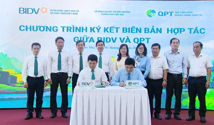 BIDV và Quỹ Cộng đồng phòng tránh thiên tai trồng 240.000 cây xanh tại Đồng bằng sông Cửu Long
