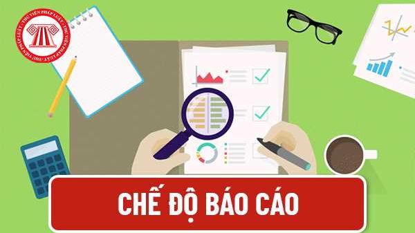 VNBA lấy ý kiến hội viên về dự thảo sửa đổi Thông tư 09