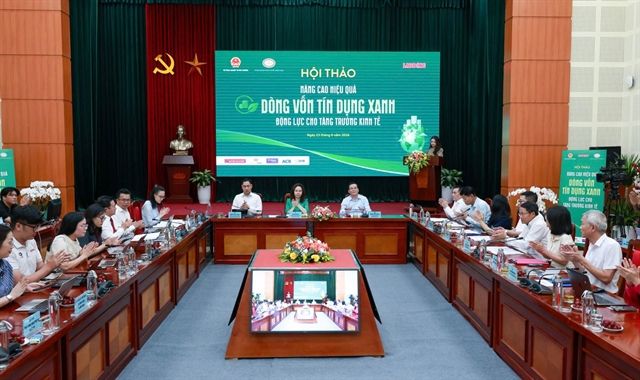Việt Nam urged to simplify green credit access for SMEs