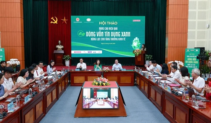 Việt Nam urged to simplify green credit access for SMEs