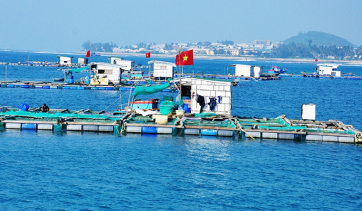 VNBA lấy ý kiến hội viên về dự thảo Nghị định liên quan đến quyền sử dụng khu vực biển nuôi trồng thủy sản