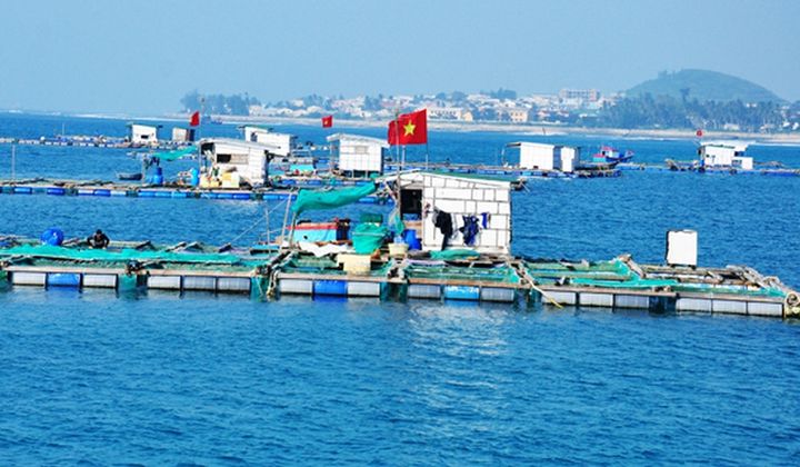VNBA lấy ý kiến hội viên về dự thảo Nghị định liên quan đến quyền sử dụng khu vực biển nuôi trồng thủy sản