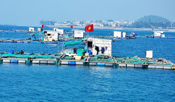 VNBA lấy ý kiến hội viên về dự thảo Nghị định liên quan đến quyền sử dụng khu vực biển nuôi trồng thủy sản