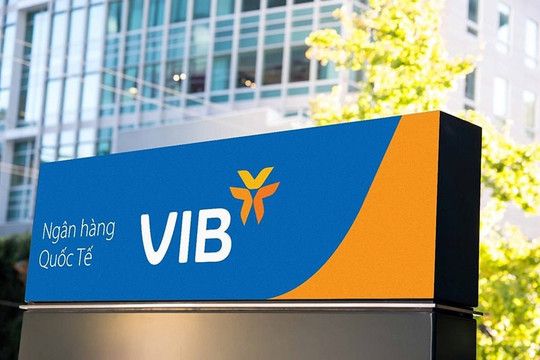 VIB có Phó Tổng Giám đốc mới