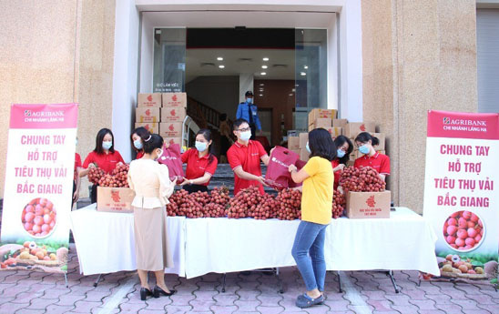 Agribank Láng Hạ chung tay hỗ trợ tiêu thụ nông sản Bắc Giang