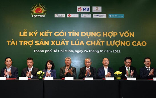 7 ngân hàng hợp vốn cho Lộc Trời vay 100 triệu USD sản xuất lúa chất lượng cao