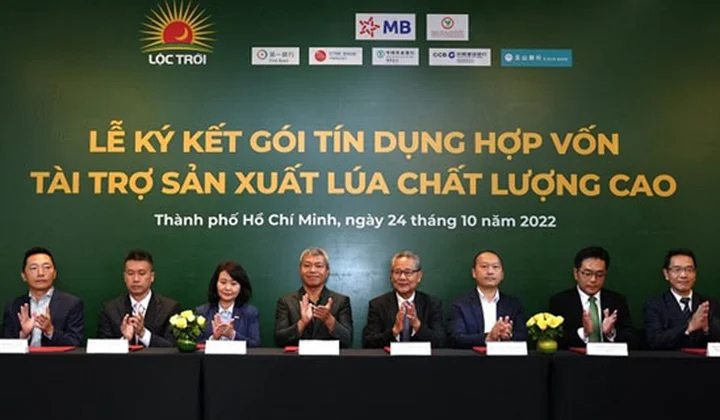 7 ngân hàng hợp vốn cho Lộc Trời vay 100 triệu USD sản xuất lúa chất lượng cao