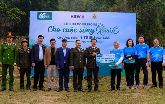 BIDV khởi động chương trình trồng “1 triệu cây xanh”