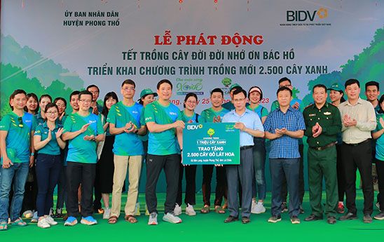 BIDV trồng mới 2.500 cây lát hoa tại Lai Châu