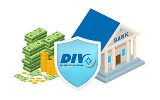 Để DIV tham gia mạnh mẽ hơn vào tái cơ cấu Quỹ tín dụng nhân dân