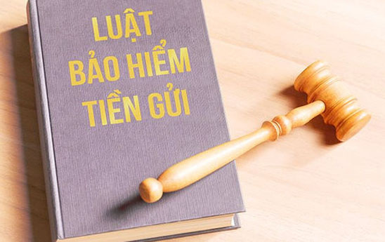 Cần sớm sửa Luật Bảo hiểm tiền gửi để bảo vệ tốt hơn người gửi tiền và tổ chức nhận tiền gửi