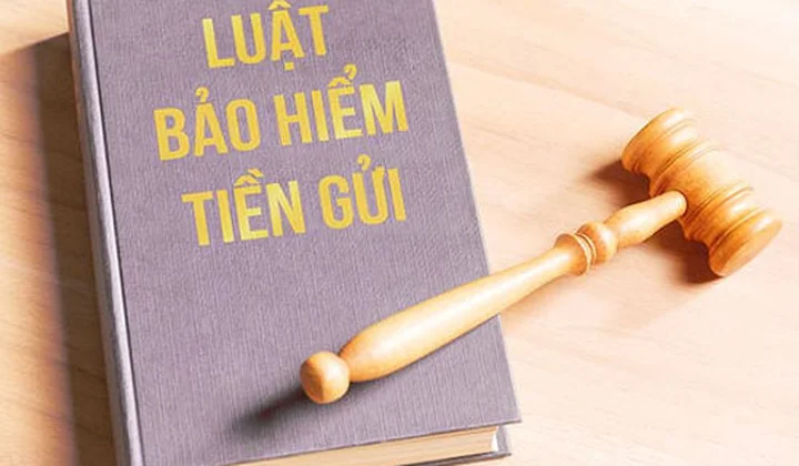 DIV góp ý 5 nội dung đề xuất sửa đổi, bổ sung Luật BHTG
