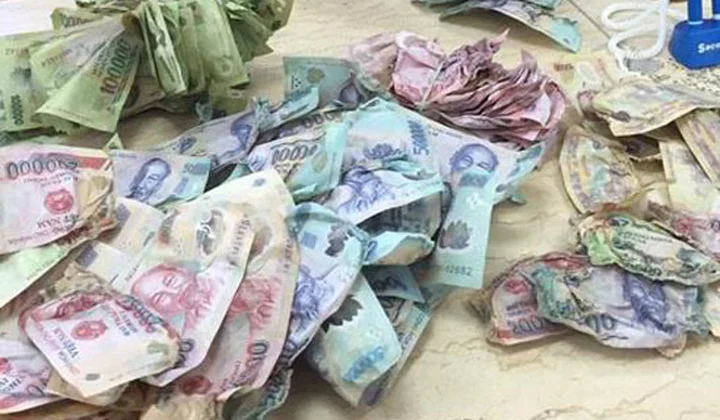 Sẽ sửa đổi một số quy định về chế độ kế toán giao nhận, điều chuyển, phát hành, thu hồi và tiêu hủy tiền mặt