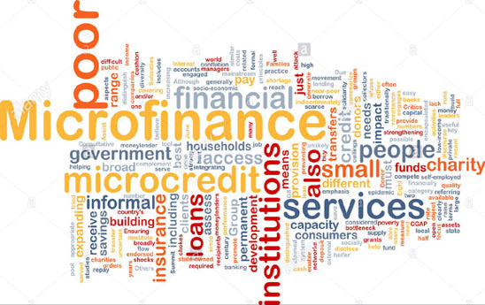 Vai trò của tín dụng vi mô đối với nền kinh tế