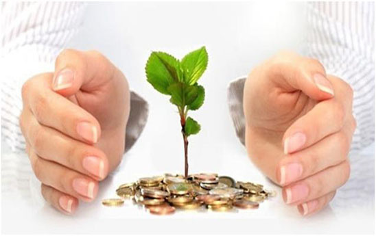 Luật hóa mở lối bảo hiểm vi mô