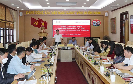 Tổng Thư ký Hiệp hội Ngân hàng thăm, làm việc với các TCTD tỉnh Sơn La