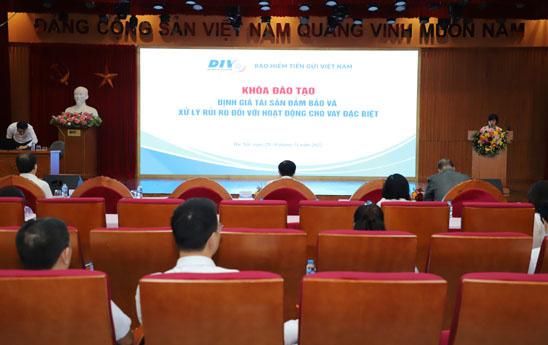 DIV tổ chức đào tạo định giá tài sản đảm bảo và xử lý rủi ro đối với hoạt động cho vay đặc biệt