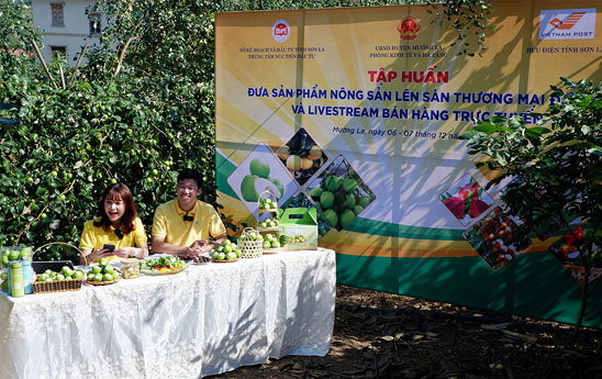 Vietnam Post giúp nông dân trải nghiệm livestream bán hàng ngay tại vườn