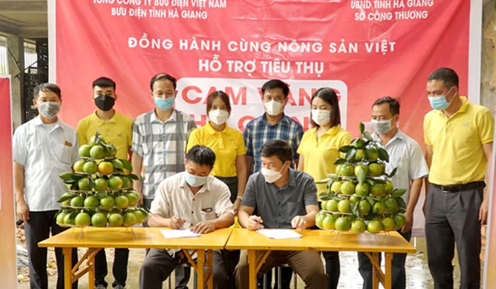 10 tấn cam vàng đầu tiên được tiêu thụ qua Postmart.vn
