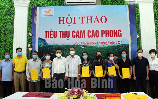 Đưa cam Cao Phong lên sàn thương mại điện tử Postmart.vn