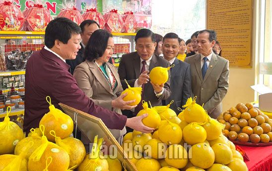 Khai trương cửa hàng nông sản tiêu biểu - OCOP tỉnh Hòa Bình năm 2022