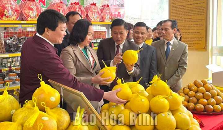 Khai trương cửa hàng nông sản tiêu biểu - OCOP tỉnh Hòa Bình năm 2022