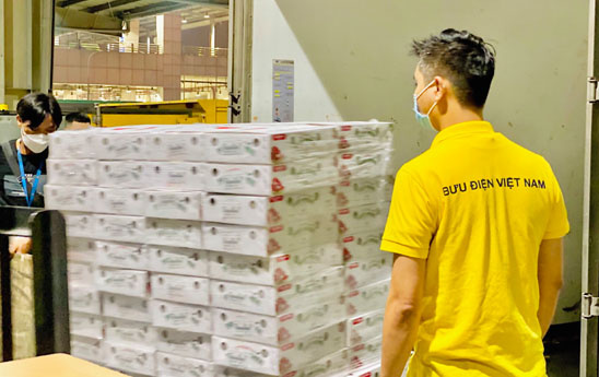 Vietnam Post dành trọn tải chuyến bay chuyển vải thiều xuất khẩu đến Nhật Bản