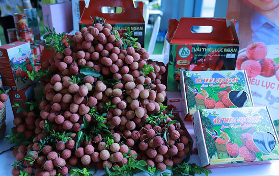 Vietnam Post đồng hành cùng chương trình đưa vải thiều vươn ra thế giới