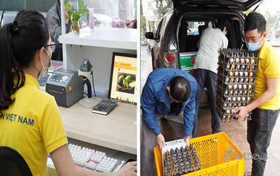 Vietnam Post nỗ lực hỗ trợ người nông dân lên sàn TMĐT