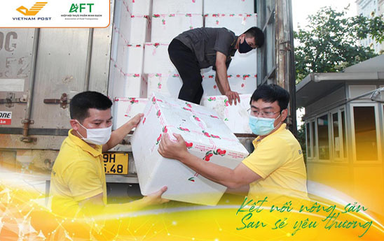 Vietnam Post và Hiệp hội Thực phẩm Minh bạch chung tay tiêu thụ vải Bắc Giang