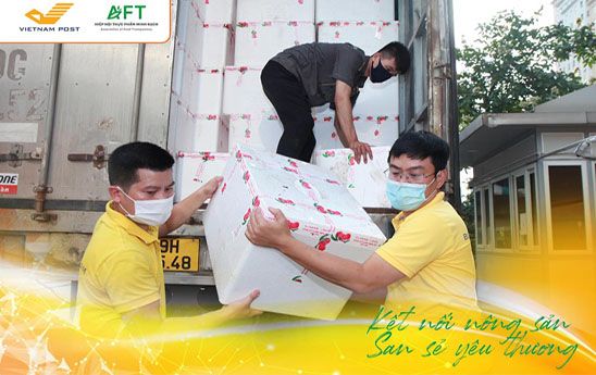 Vietnam Post và Hiệp hội Thực phẩm Minh bạch chung tay tiêu thụ vải Bắc Giang