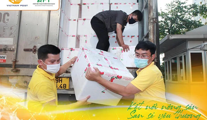 Vietnam Post và Hiệp hội Thực phẩm Minh bạch chung tay tiêu thụ vải Bắc Giang