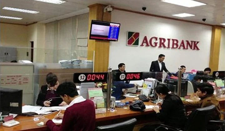 Agribank hướng tới hình ảnh ngân hàng phục vụ "Tam nông" hiện đại và chuyên nghiệp