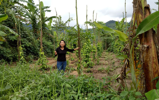 Agribank không ngừng nỗ lực đồng hành, hỗ trợ hàng triệu phụ nữ Việt Nam
