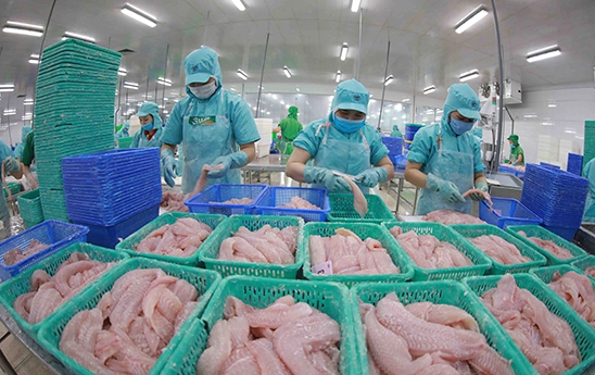 Ngân hàng cũng ‘đỏ mắt’ tìm khách vay