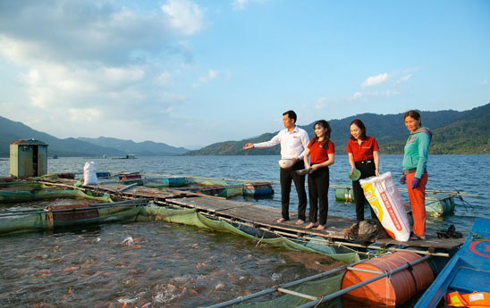 Agribank triển khai nhiều chương trình tín dụng ưu đãi hỗ trợ khách hàng