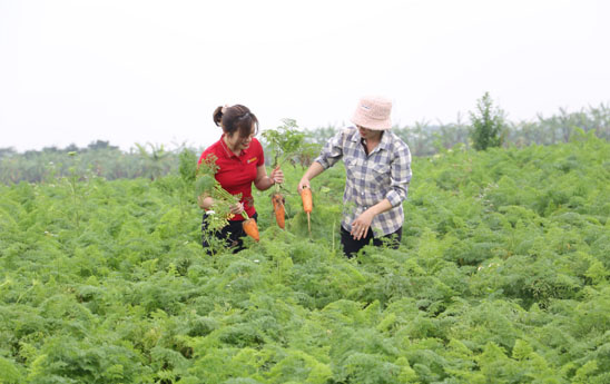 Agribank và những giải pháp góp phần nâng tầm nông thủy sản Việt