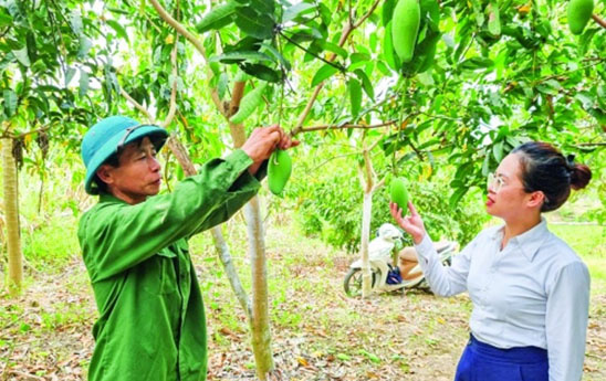 Cải thiện cuộc sống nhờ vốn Agribank Mường La