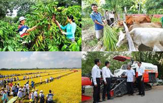 Bền bỉ một dòng chảy tín dụng "Tam nông"