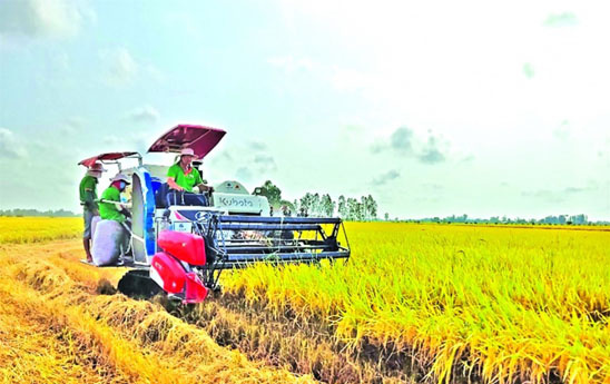 Nghìn tỷ đầu tư vào đồng ruộng, vuông tôm