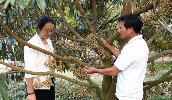 Ở đâu có Tam nông - ở đó có Agribank