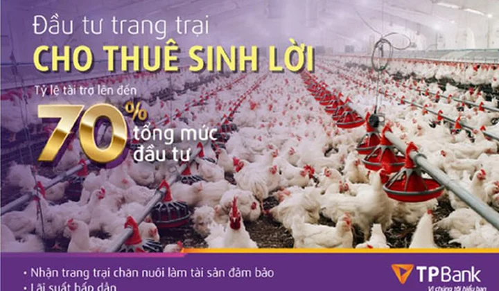 TPBank dành 1.000 tỷ đồng tài trợ xây dựng trang trại chăn nuôi để cho thuê