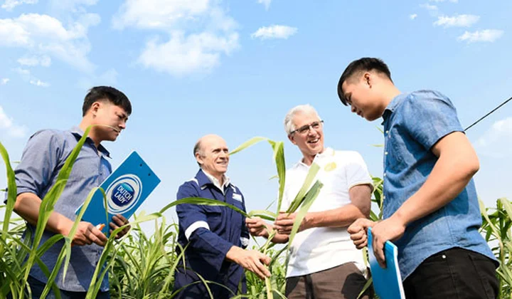 Tăng cường sức mạnh chuỗi cung ứng với giải pháp từ BIDV