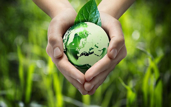 Mời tham gia hội thảo “Tham vấn Dự thảo Quyết định của Thủ tướng Chính phủ về ban hành tiêu chí môi trường…”