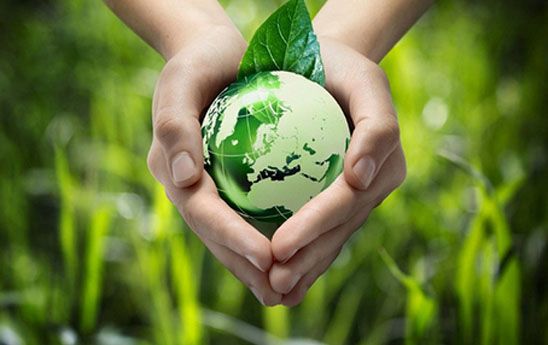 Mời tham gia hội thảo “Tham vấn Dự thảo Quyết định của Thủ tướng Chính phủ về ban hành tiêu chí môi trường…”