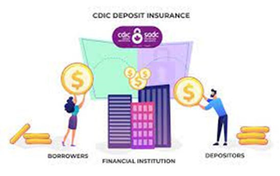 CDIC công bố Báo cáo thường niên năm 2021