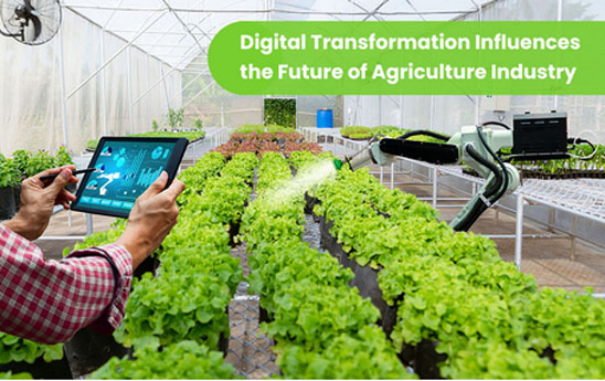 Chuyển đổi số với các hợp tác xã là xu hướng phát triển bền vững