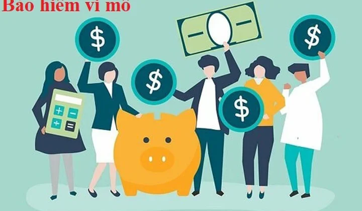 Chính phủ ban hành Nghị định quy định về bảo hiểm vi mô