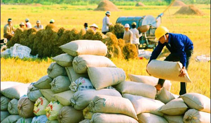 Bangladesh sắp nhập khẩu hơn 200 ngàn tấn gạo từ Việt Nam