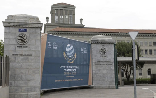 WTO hạ dự báo tăng trưởng thương mại toàn cầu do nguy cơ suy thoái